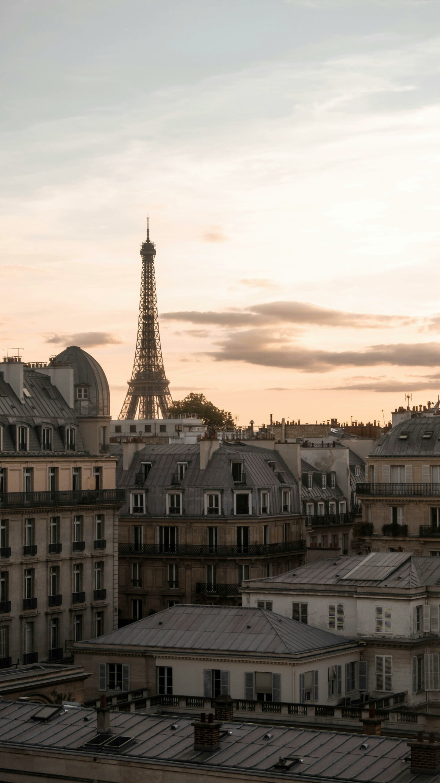 Vu de la ville de paris et de sa tour eiffel